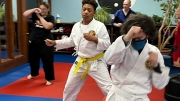Villaris-adult-martial-arts-7